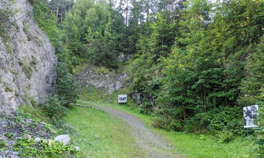 Start of the Papal Gorge trail to Wdżar