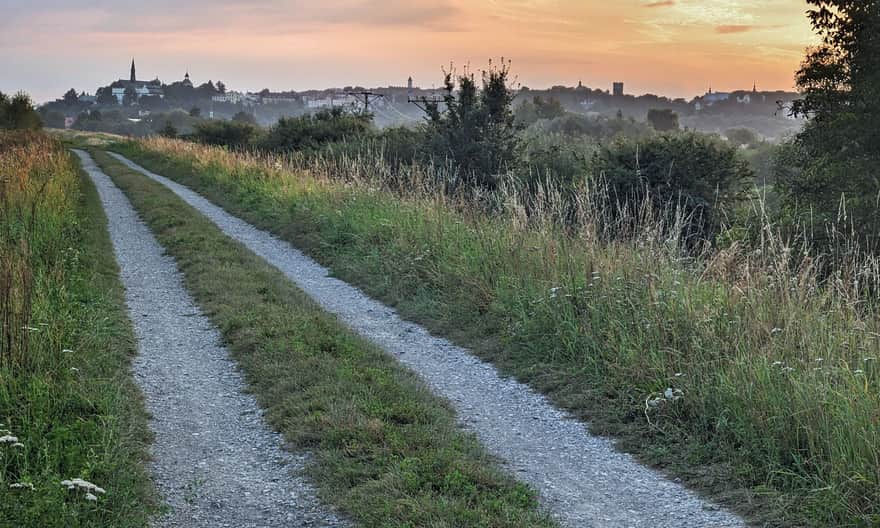 Widok na Sandomierz z wałów Wisły na granicy Rezerwatu Góry Pieprzowe