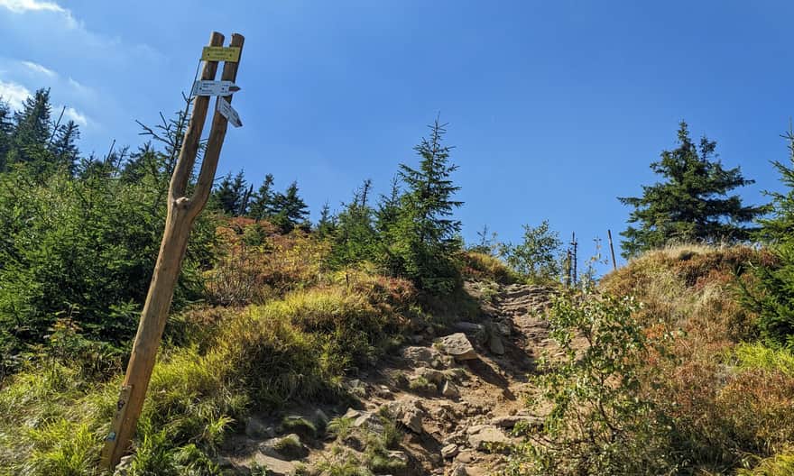 Steep climb to the summit of Barania Góra