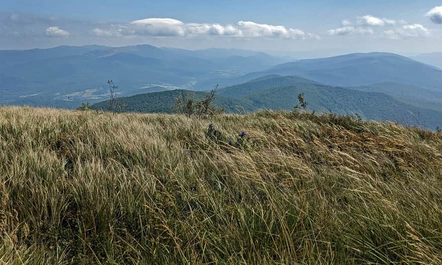 Gniazdo Tarnicy - widok niższego szczytu Wielkiej Rawki przy niebieskim szlaku