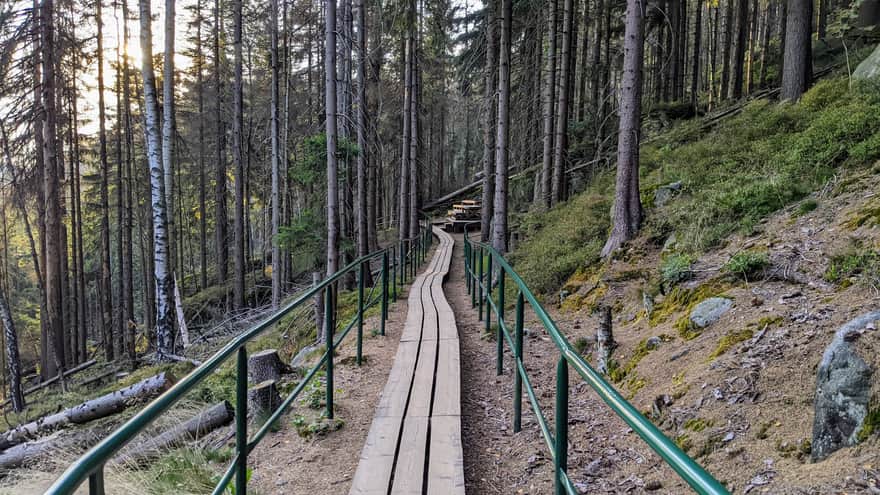 Descent from Szczeliniec - one-way trail