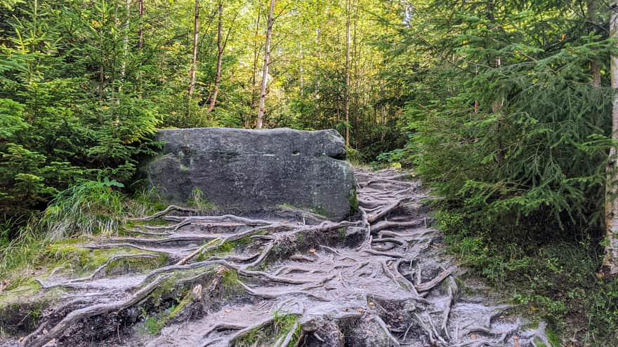 Yellow trail to Szczeliniec from Pasterka