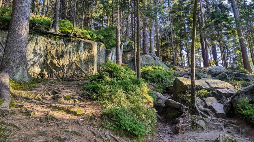 Yellow trail to Szczeliniec from Pasterka