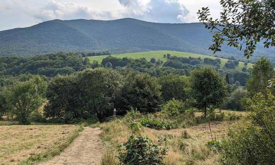 Rawki - widok z zielonego szlaku na Połoninę Caryńską z Przełęczy Wyżniańskiej