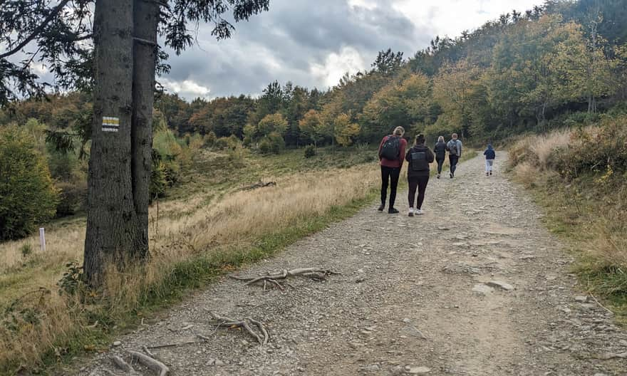 Path from the shelter to the summit of Leskowiec