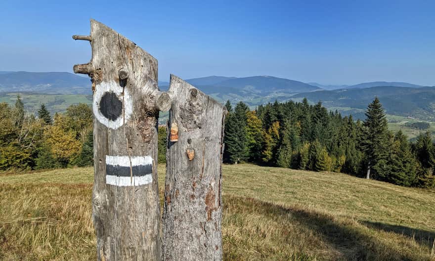 New trail in Gorce: black trail to Turbaczyk from Konina