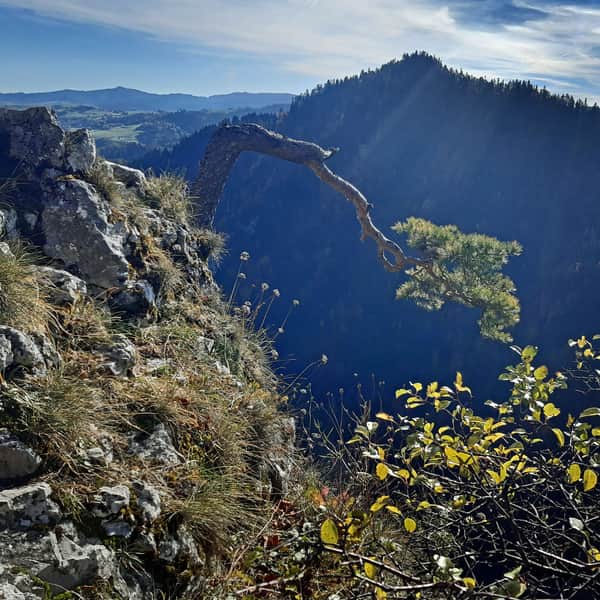 Sokolica - trails to the scenic peak in the Pieniny Mountains