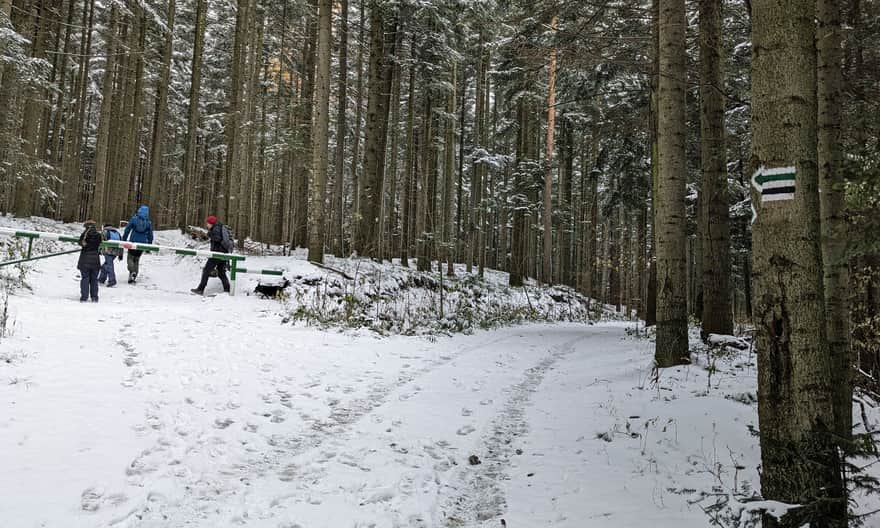 Green trail to Lubomir