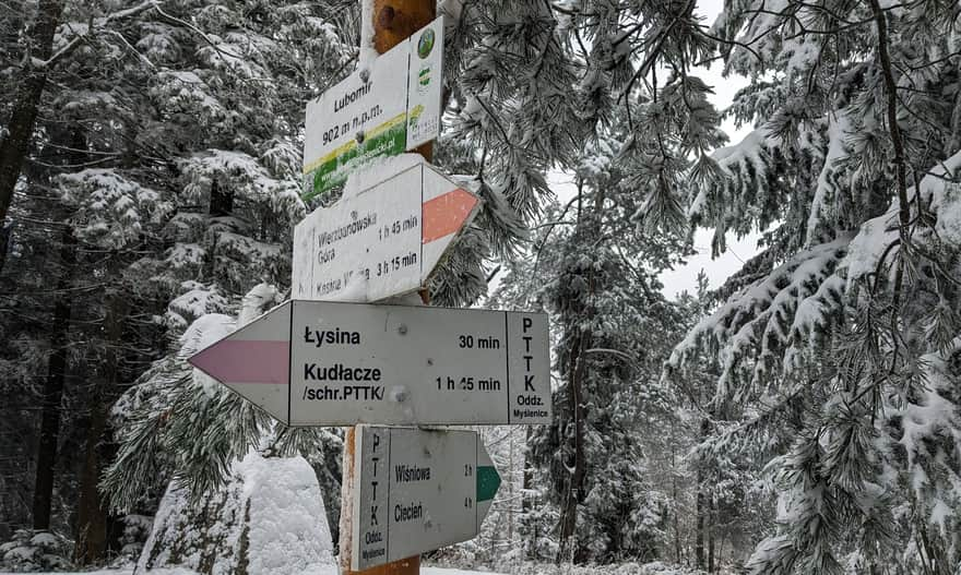 Lubomir 902 / 904 m above sea level - the highest peak of the Makowski Beskid