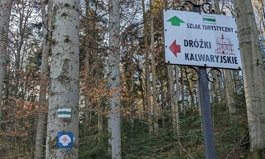 Rozejście dróżek kalwaryjskich i zielonego szlaku