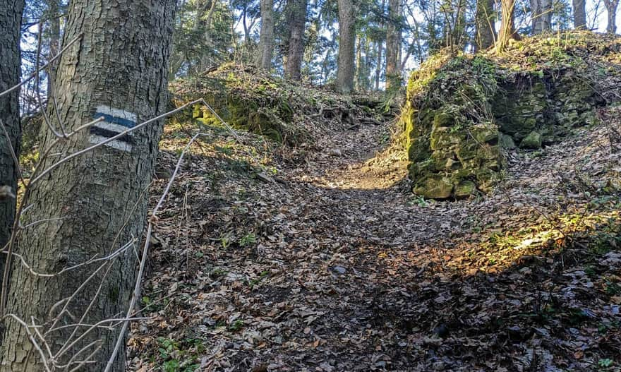 Ruins of Barwałd Castle on Góra Żar in Kalwaria Zebrzydowska