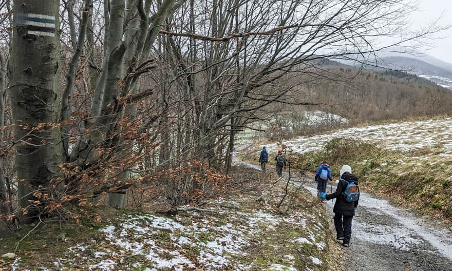 Blue trail: descent from Grodzisko towards Ciecień (on the horizon)