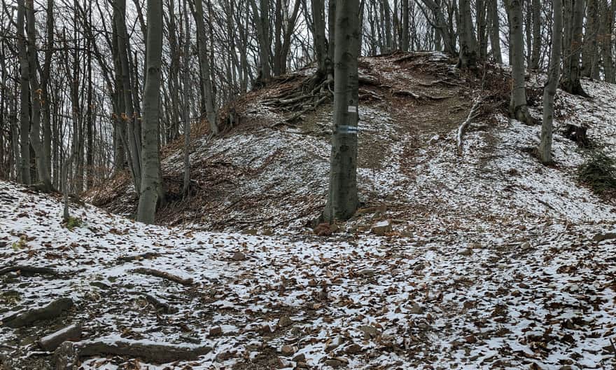 Ukształtowanie wierzchołka Grodziska - pełne dawnych wałów, fos i rowów