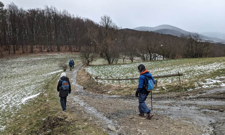 Przełęcz pod Grodziskiem: widok na Pasmo Cietnia