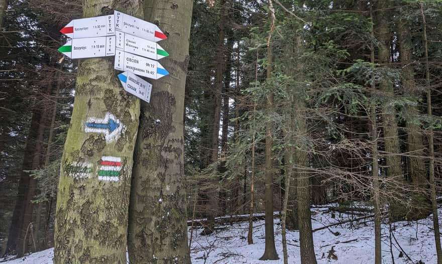 Trail junctions below the summit of Cietnia