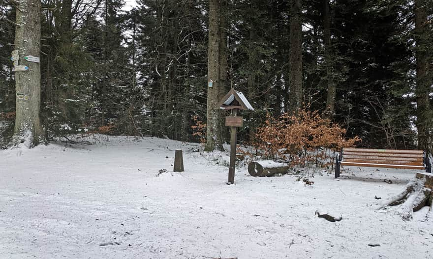 Ciecień, 830 m above sea level - summit