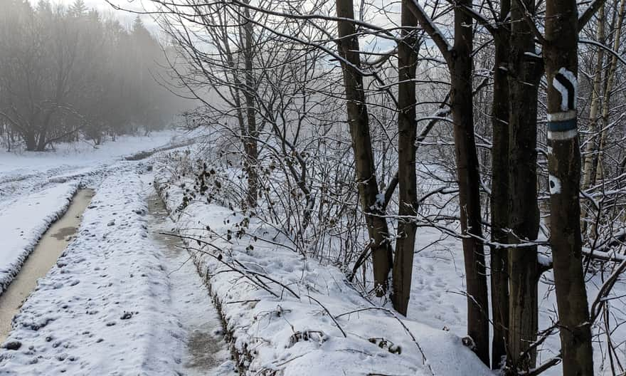 End of the black trail from Bogdanówka at the blue trail