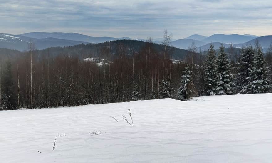 Widok z polany tuż przed dojściem czarnego szlaku do niebieskich znaków