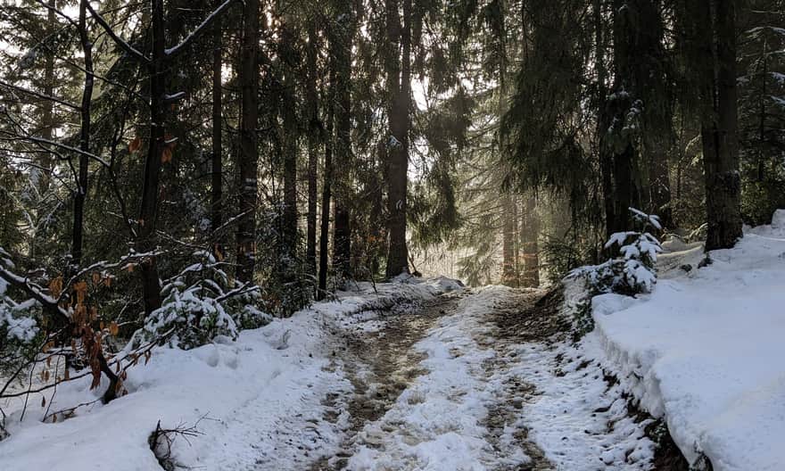 Niebieski szlak na Koskową Górę