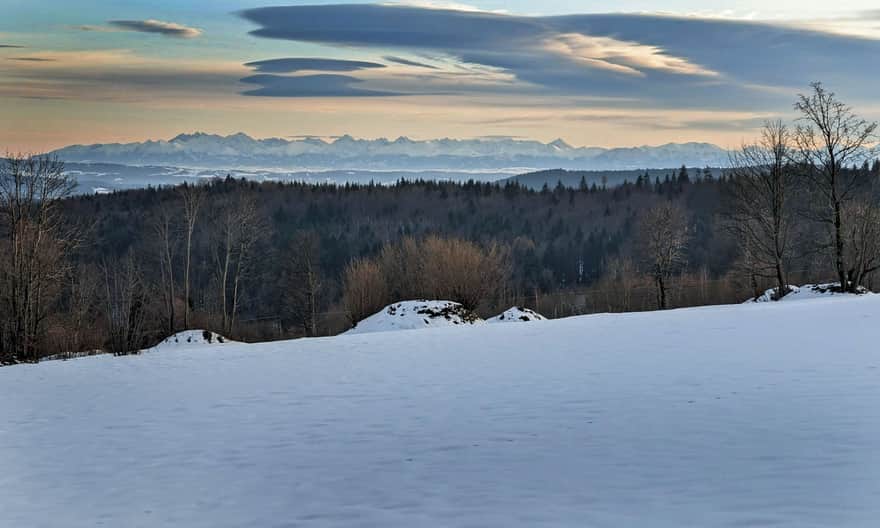 Widok na Tatry z polany nad osiedlem Więciórka Polana