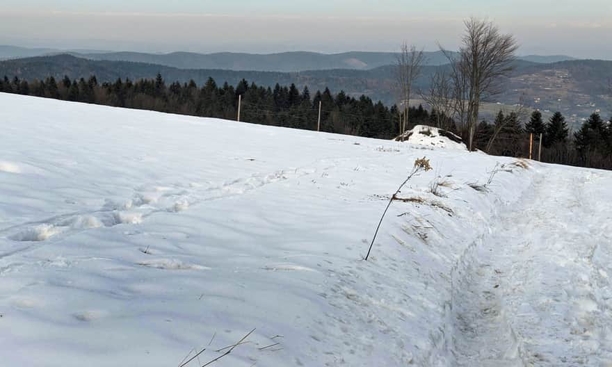 Zejście z Parszywki do osiedla Więciórka Polana, widok na Pasmo Babicy i Barnasiówkę
