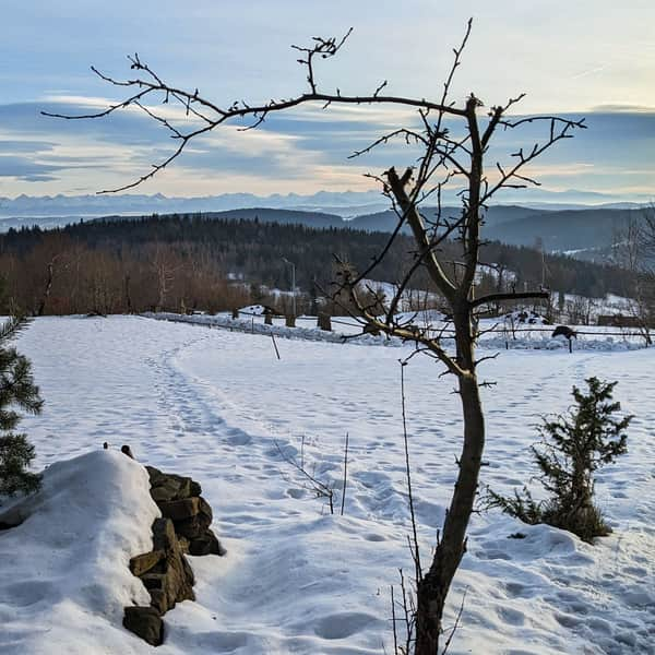 Parszywka - trails to the top, views and Veronica Chapel