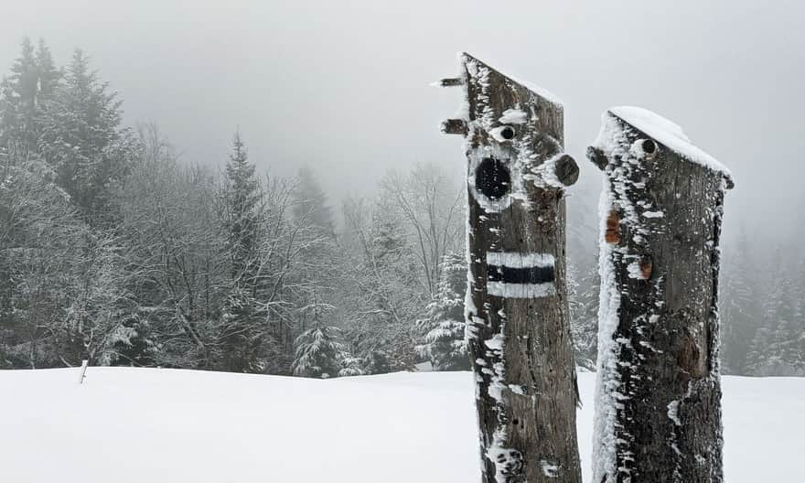 Turbaczyk in winter - beginning of the black trail to Konina