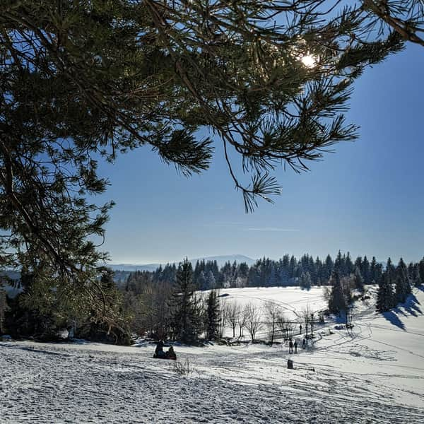 Potrójna - trails to the scenic peak in Beskid Mały