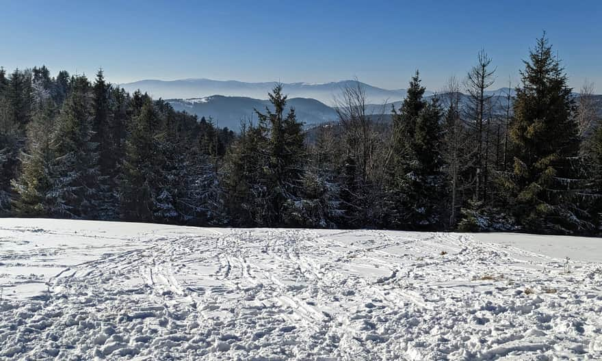 Widok z Potrójnej: na ostatnim planie Beskid Śląski od Baraniej Góry po Skrzyczne, za drzewami Klimczok