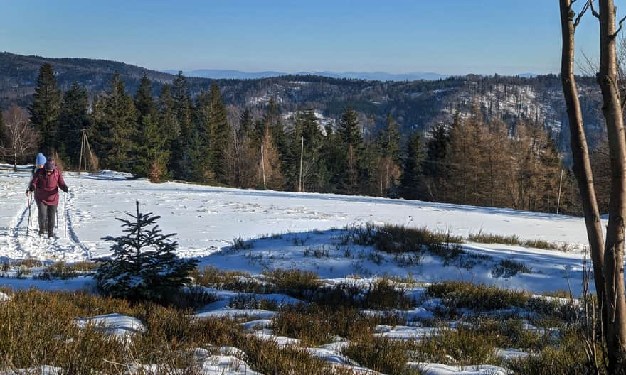 Potrójna: widok w stronę Beskidu Makowskiego i Wyspowego