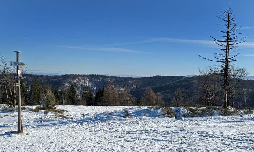 Crossroads of trails on Potrójna