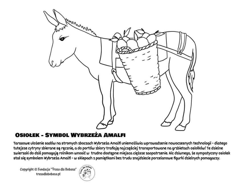 Amalfi donkey coloring page pdf for download and print