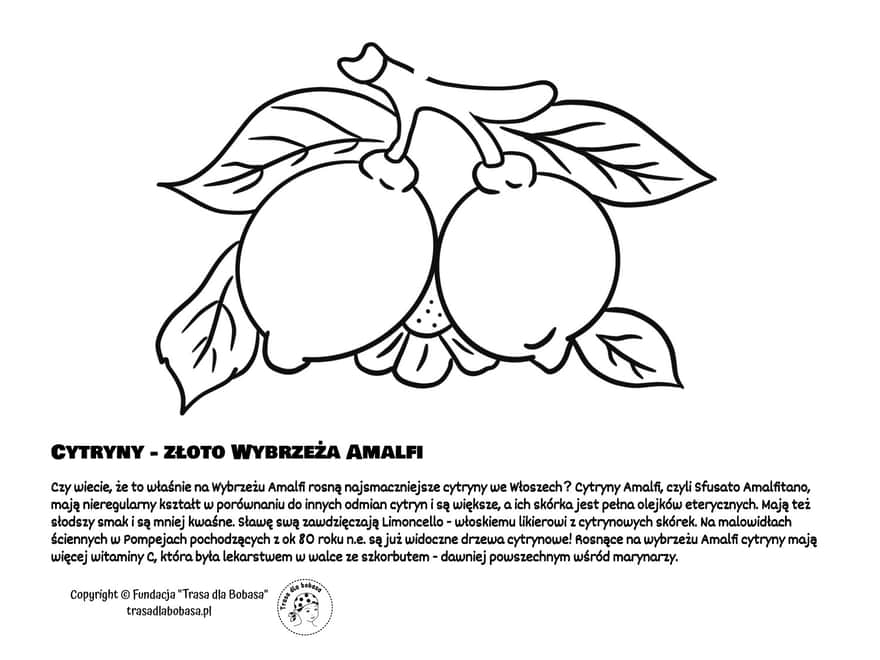 Amalfi lemons coloring page pdf for download and print