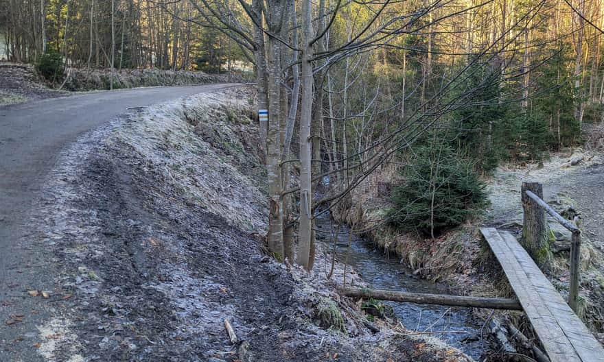 First comfortable section of the yellow trail from Soblówka to Rycerzowa