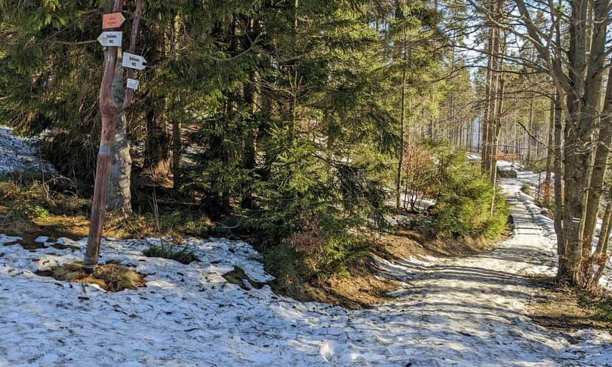 Connection of the yellow and black trail from Soblówka just before Bacówka PTTK on Rycerzowa