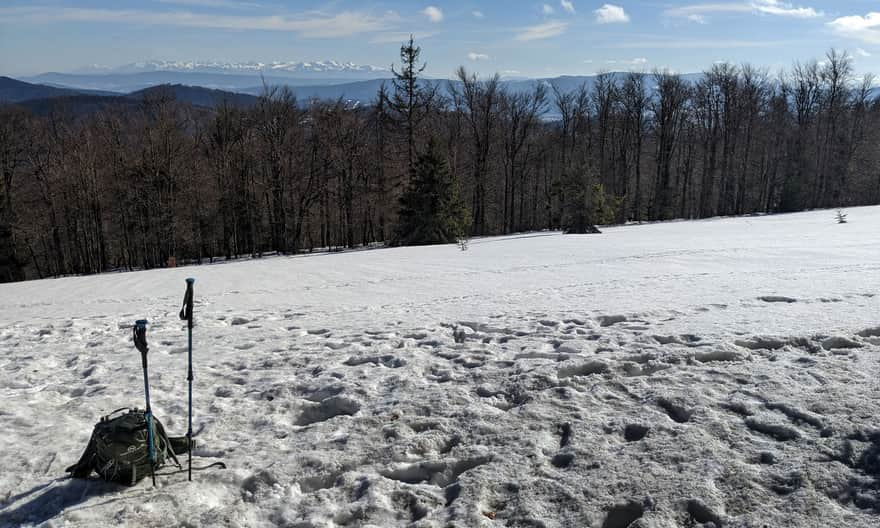 Wielka Rycerzowa, 1226 m n.p.m. - widok spod szczytu w stronę Tatr