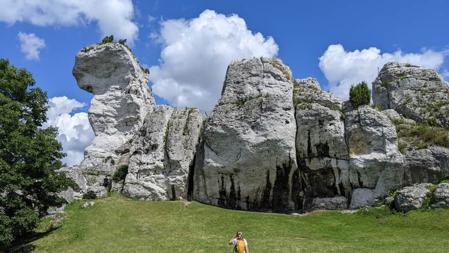 Walls of Ogrodzieniec Castle - Jurassic relics