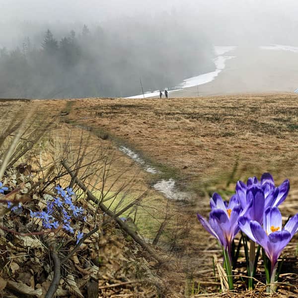 TOP 5: Ideas for the first spring walk in the mountains