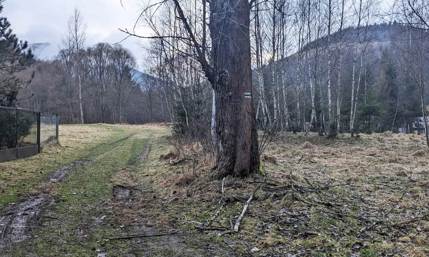 Początek zielonego szlaku w Ujsołach