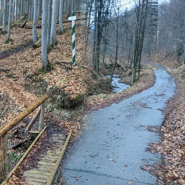 Beskidzka Zielona Ścieżka przez Rezerwat Śrubita