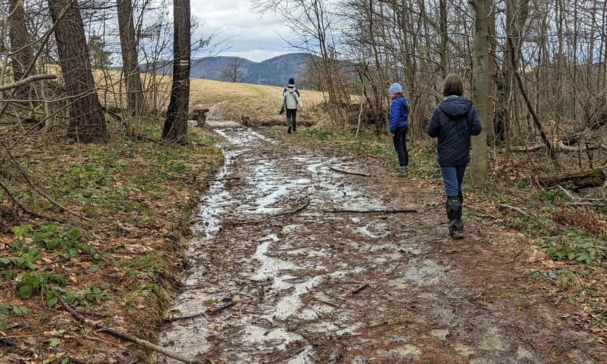 Early spring in the mountains is often dominated by mud...