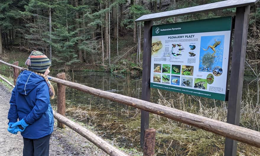 Black Creek Valley - amphibian observation station