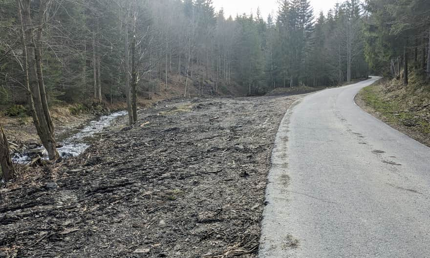 Forest road in the Sopotnia Wielka Valley