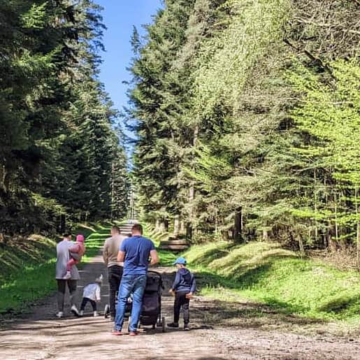 12 Ideas for a Walk in Tarnów and Surroundings