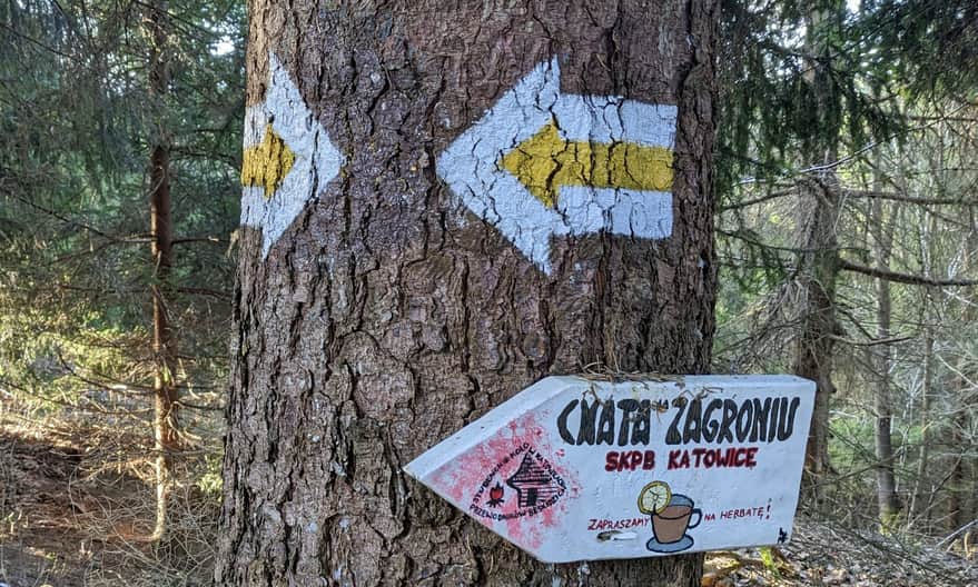 Chata na Zagroniu - signpost on the yellow trail Rajcza - Romanka