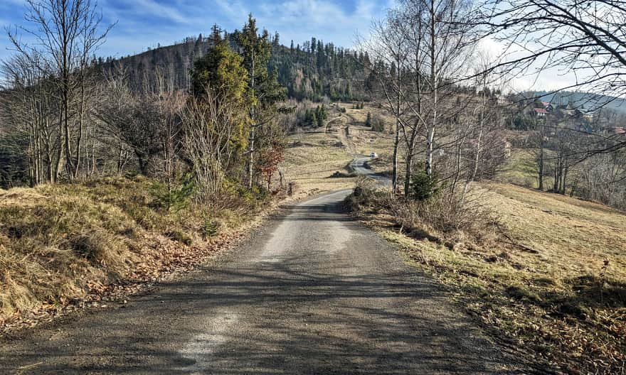 Yellow trail from Rajcza: picturesque country road under Zapolanka