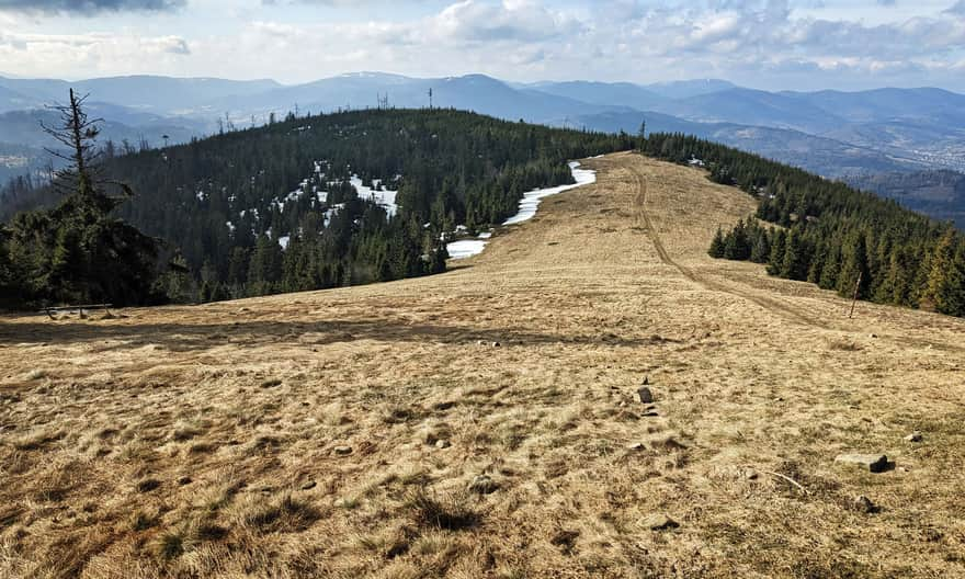 Hala Redykalna under Redykalny Wierch - view to the southwest