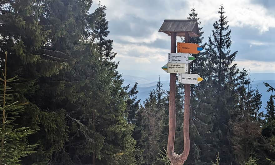 Intersection of the yellow trail (via Redykalny Wierch to Rajcza) and green (via PTTK shelter on Hala Boracza to Milówka)