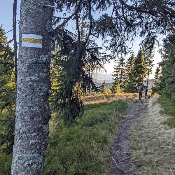 From Rysianka to Romanka - yellow trail