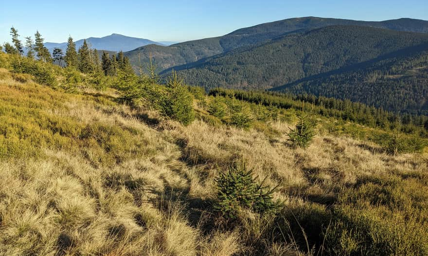 Babia Góra and the western slopes of Pilsko from the slopes of Łyśniowska Meadow under Martoszka